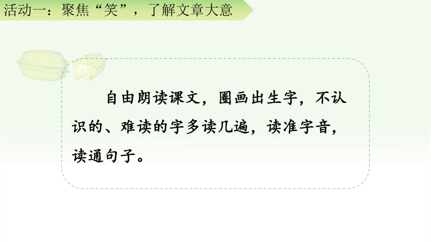 13 画杨桃 课件(共41张PPT)