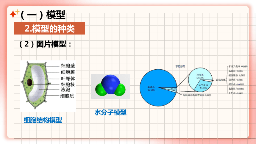 2.1模型、符号的建立与作用(课件 22张PPT)