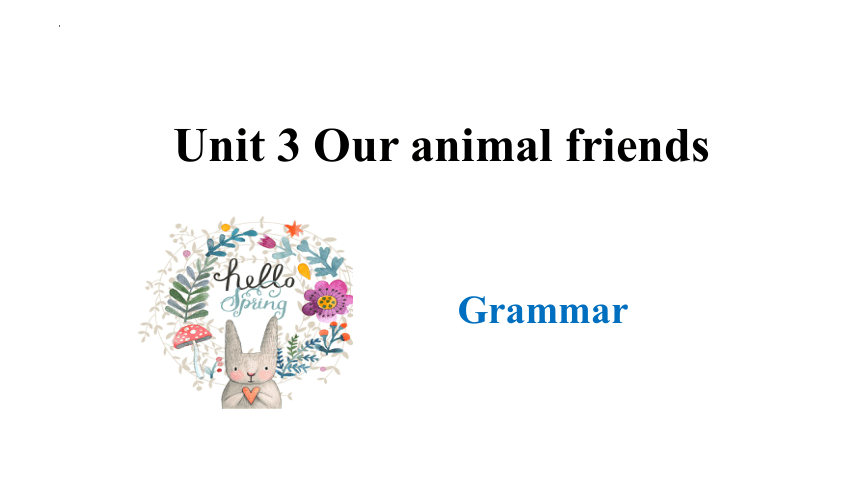 Unit 3 Our animal friends.Grammar 课件(共35张PPT)2023-2024学年牛津深圳版七年级下册英语