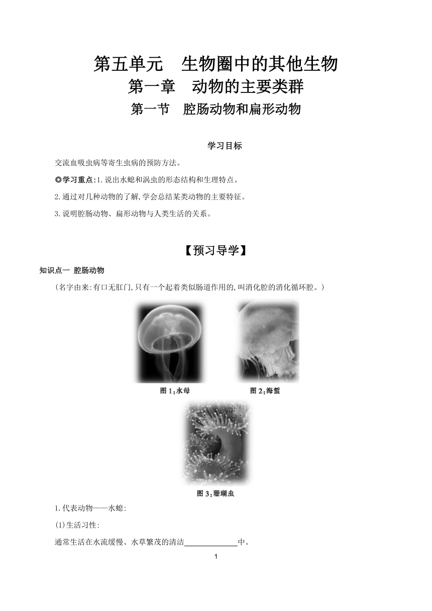 5.1.1 腔肠动物和扁形动物 学案 （含答案）2023-2024学年生物人教版八年级上册