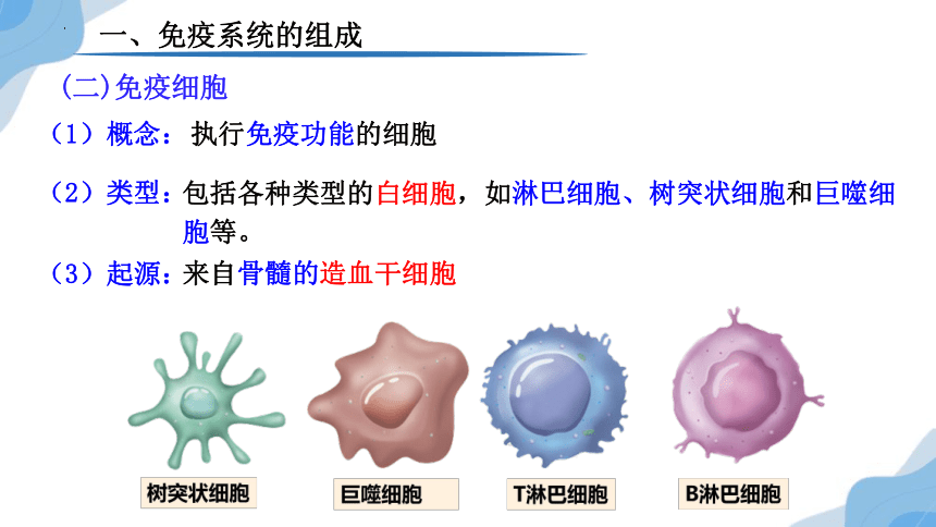 4.1 免疫系统的组成和功能 课件（共33张PPT）-人教版高中生物选择性必修1