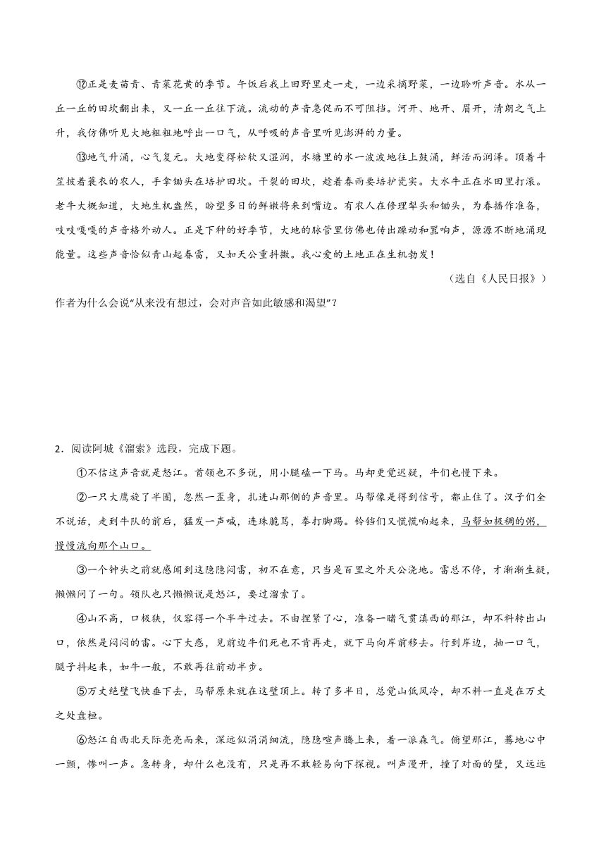 2024年中考语文记叙文阅读十三大考点分类闯关宝典语句理解与赏析(原卷版+解析版)