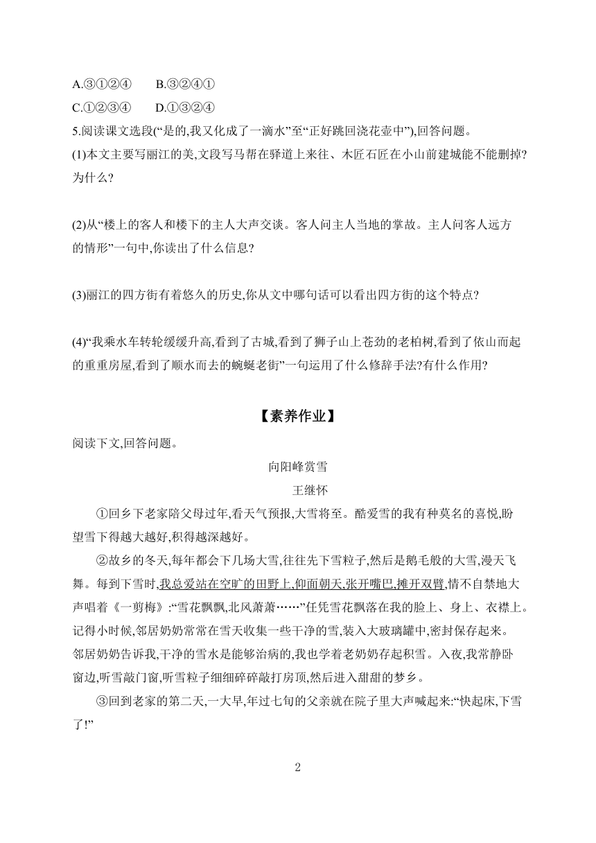 2023-2024学年初中语文部编版八年级下册 课时作业 20 一滴水经过丽江 （含答案）
