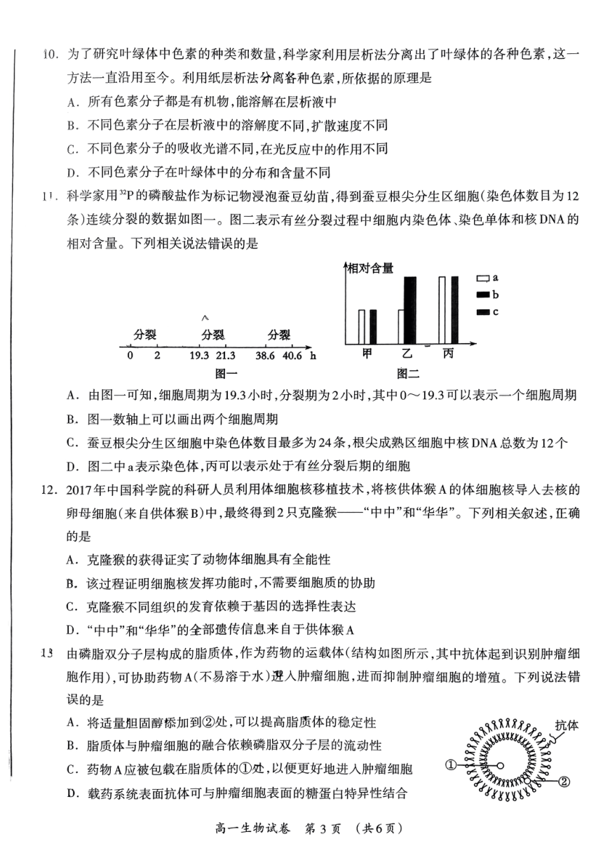 广西省桂林市2023-2024学年高一上学期期末质量检测生物试题（pdf版含答案）