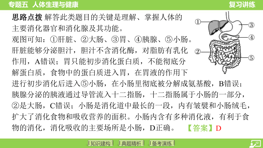 专题五 人体生理与健康课件(共71张PPT)2024年中考人教版生物复习