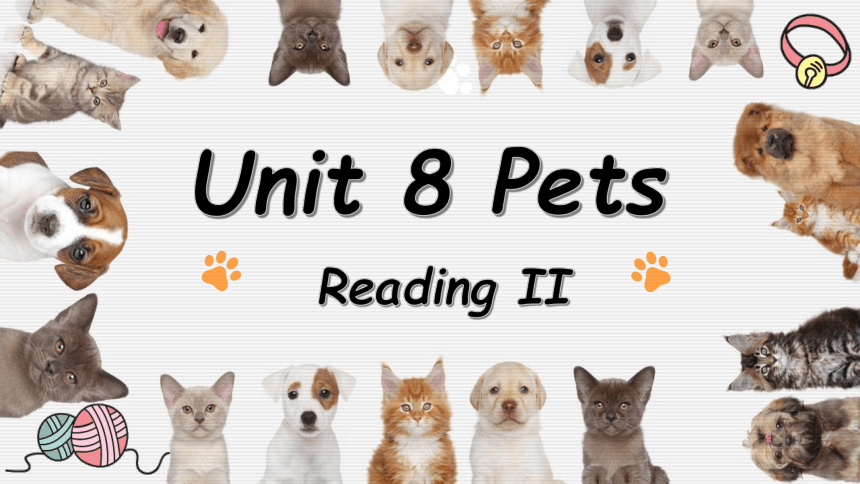 Unit 8 Pets Reading2课件（牛津译林版七年级下册）