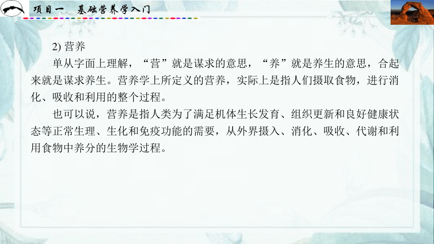 项目1  基础营养学入门_1 课件(共31张PPT)- 《食品营养与卫生》同步教学（西安科大版）