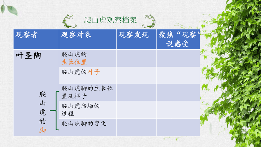 10《爬山虎的脚》  课件(共18张PPT)