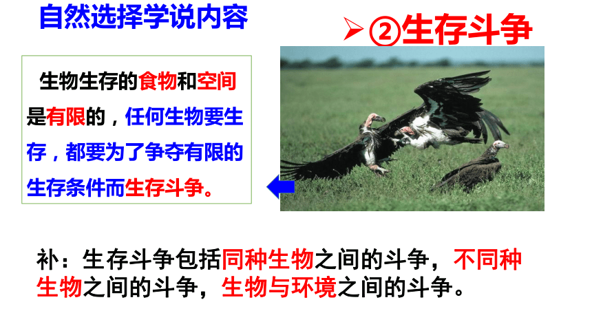 5.1.4  生物进化的原因  课件(共20张PPT)-2023-2024学年济南版生物八年级下册