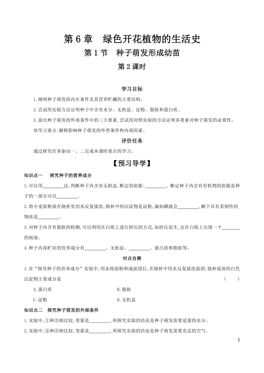 3.6.1 种子萌发形成幼苗 第2课时 学案 （含答案）2023-2024学年生物北师大版七年级上册