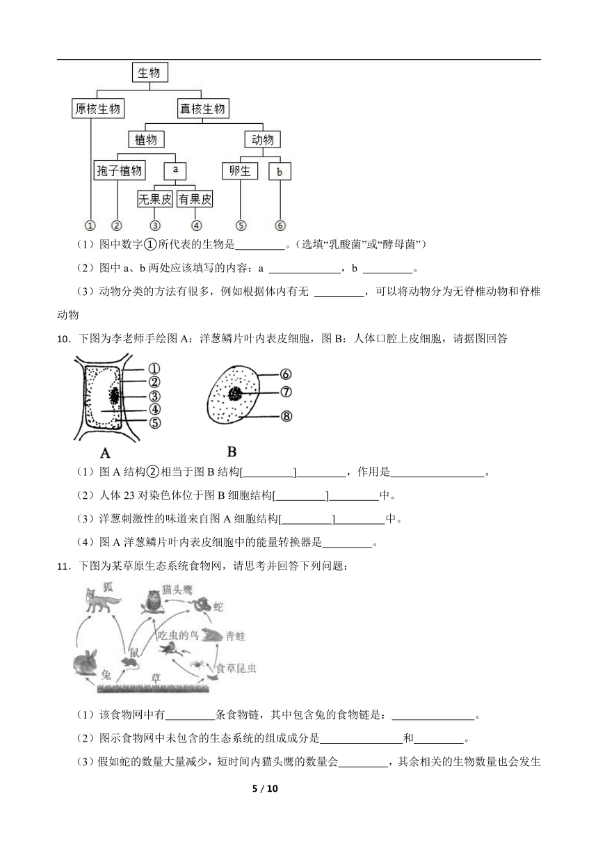 2024年中考生物专题复习 ：读图理解题）含答案