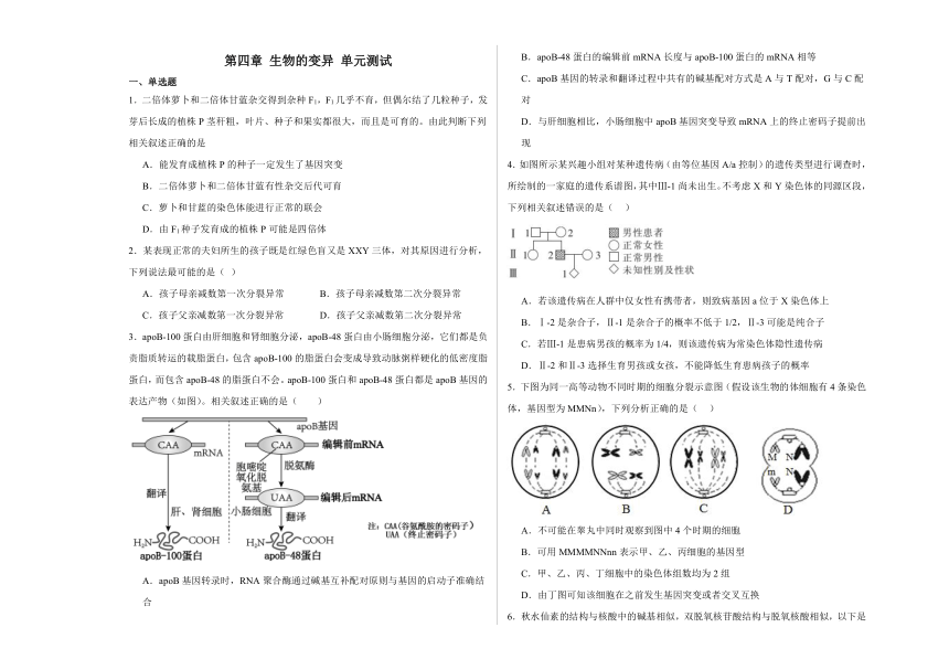 第四章 生物的变异 单元测试（解析版）