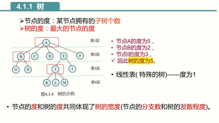 4.1树与二叉树 课件(共24张PPT)2023—2024学年浙教版（2019）高中信息技术选修1