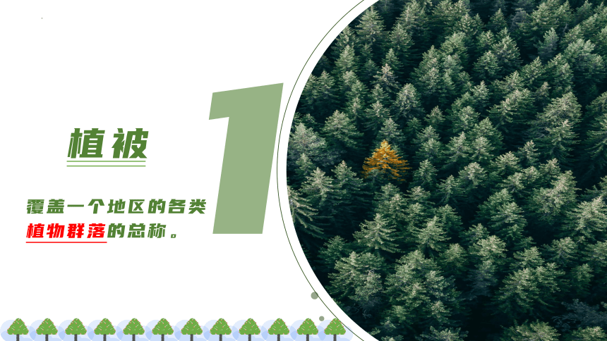 高中地理湘教版（2019）必修一5.1主要植被与自然环境（共23张ppt）