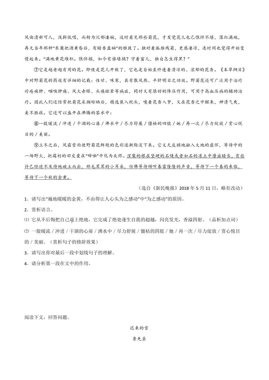 2024年中考语文记叙文阅读十三大考点分类闯关宝典句段作用(原卷版+解析版)