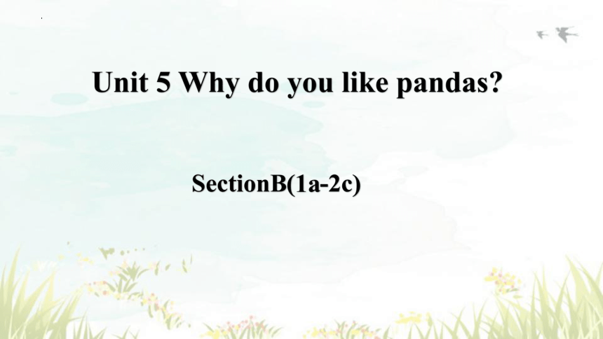 Unit 5 Why do you like pandas? Section B (1a-2c)课件（共50张PPT，内嵌音频）-21世纪教育网