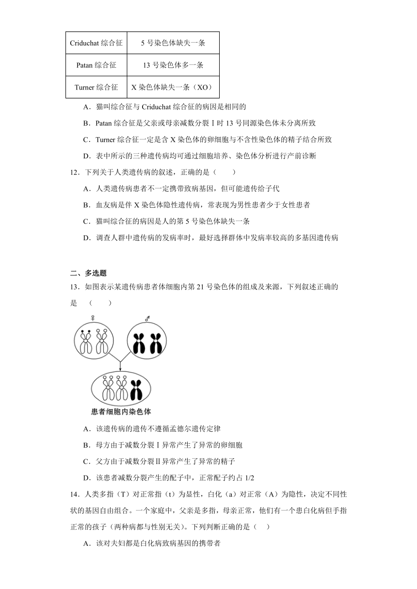 3.3关注人类遗传病（练习）-2023-2024学年高中生物（苏教版必修2）（含解析）