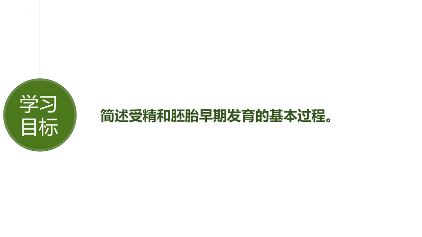 生物人教版（2019）选择性必修3 2.3.1胚胎工程的理论基础（课件共22张ppt）