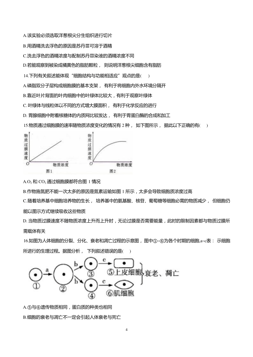 湖南省株洲市第十三中学2023-2024学年高一下学期开学考试生物试题（无答案）