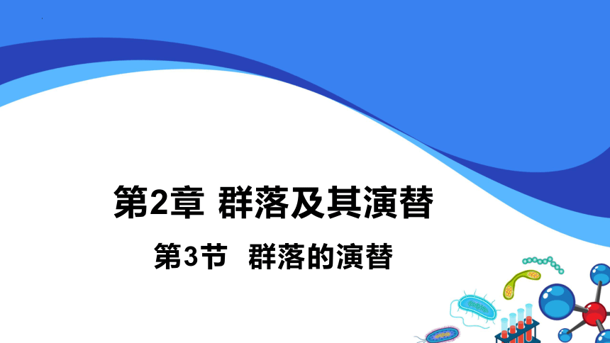 2.3群落的演替课件(共29张PPT)-人教版（2019）选择性必修2