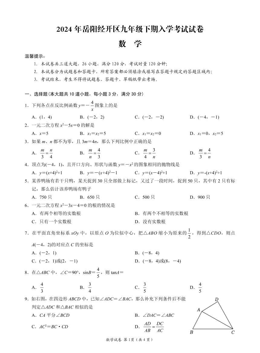 湖南省岳阳市经开区2023-2024学年九年级下学期入学考试数学试题（PDF高清版，无答案）