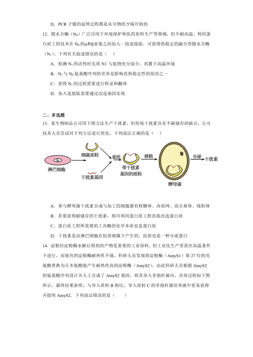 3.3蛋白质工程是基因工程的延伸必刷练-2023-2024学年高二生物（沪科版2020选择性必修3）（解析版）