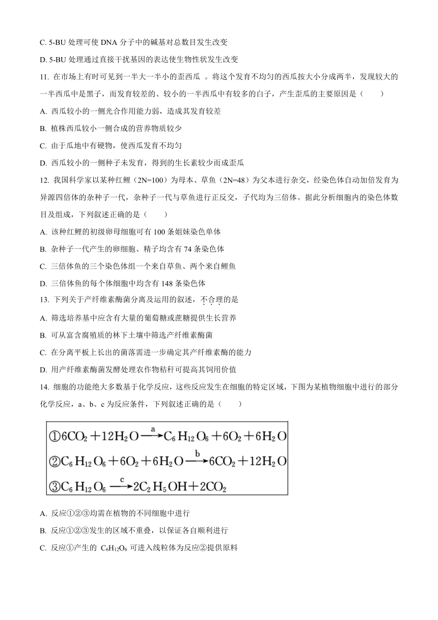 浙江省强基联盟2023-2024学年高三下学期3月联考试题 生物 （解析版）