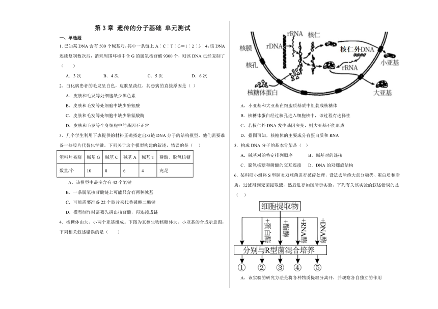 第3章 遗传的分子基础 单元测试（含解析）