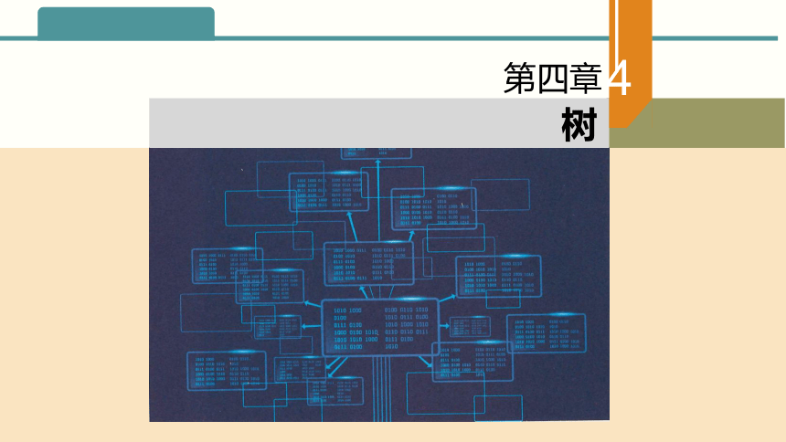 4.1树与二叉树 课件(共24张PPT)2023—2024学年浙教版（2019）高中信息技术选修1