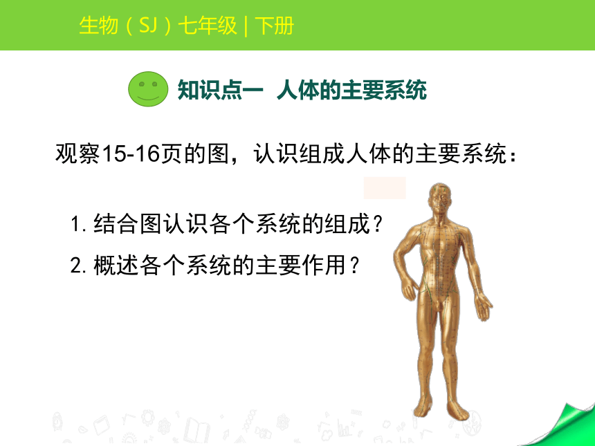 4.8.3人体概述课件 (共18张PPT)苏教版生物七年级下册