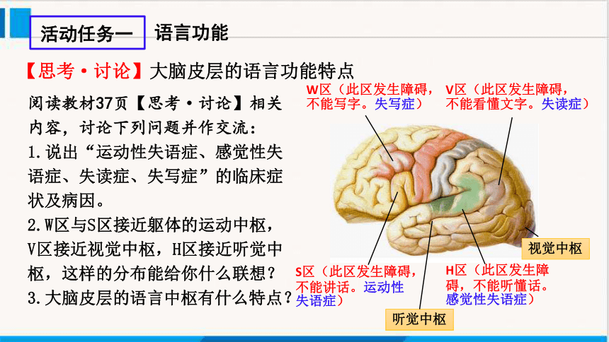 2.5人脑的高级功能课件（共22张PPT） -2023-2024学年高二上学期生物人教版（2019）选择性必修1