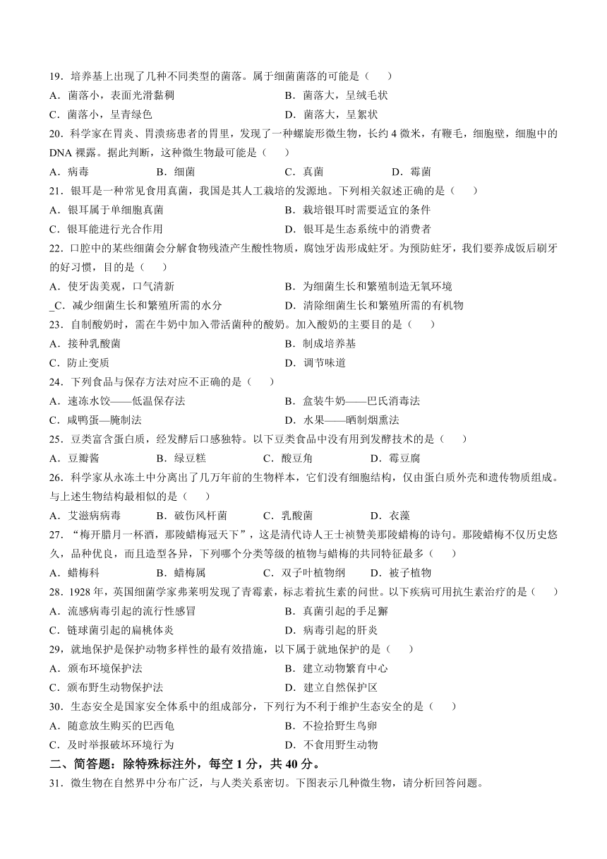 湖南省长沙市长沙县2023-2024学年八年级上学期期末生物试题（含答案）