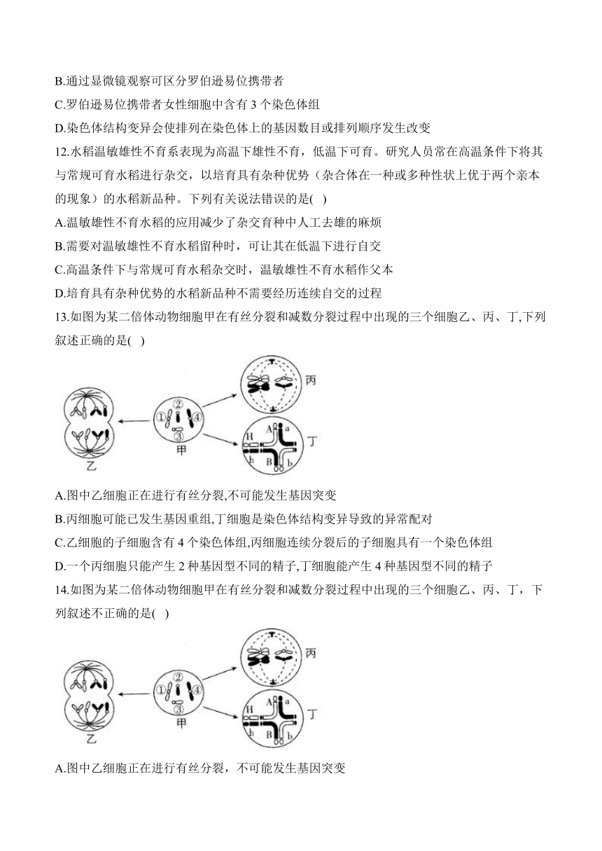 第三章 生物的变异—2023-2024学年高一生物学苏教版（2019）必修二单元检测卷（A卷）（含解析）