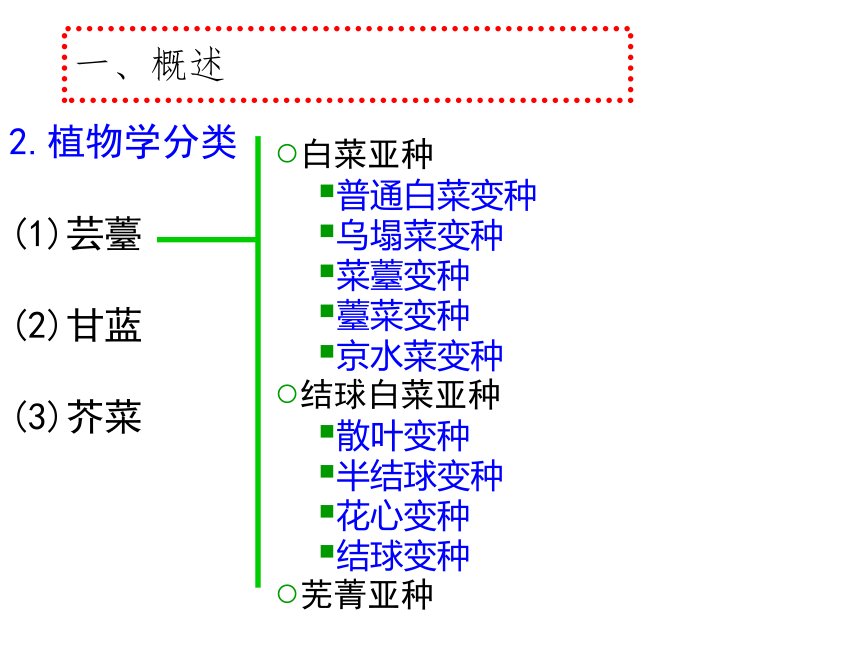 项目5.1 白菜类蔬菜生产--概述 课件(共53张PPT)- 《蔬菜生产技术》同步教学（机械工业版）