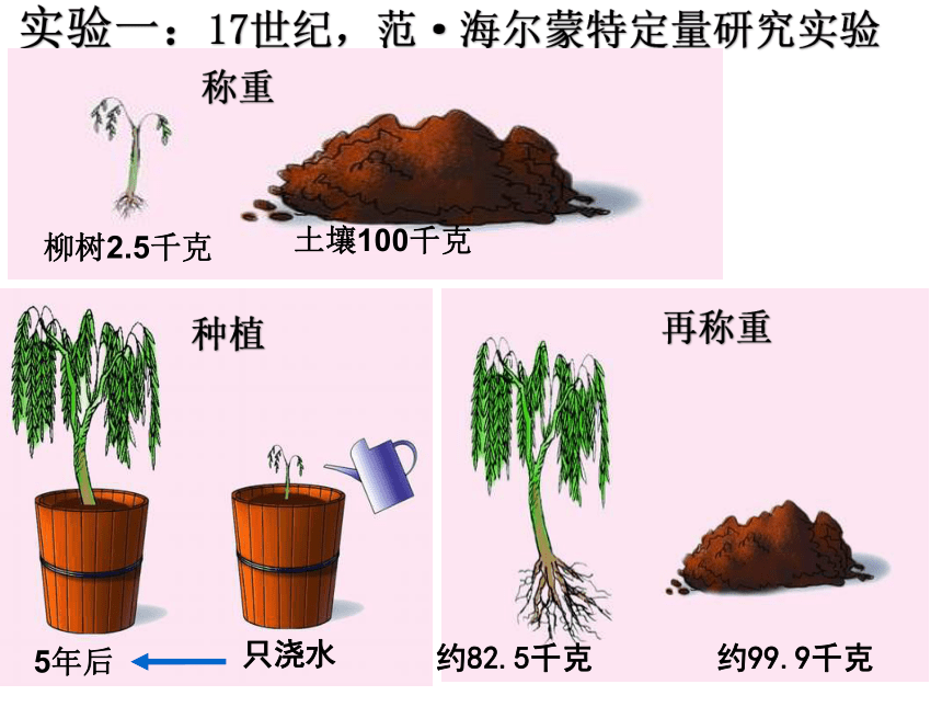 第一节 植物光合作用的发现 课件（22张PPT）