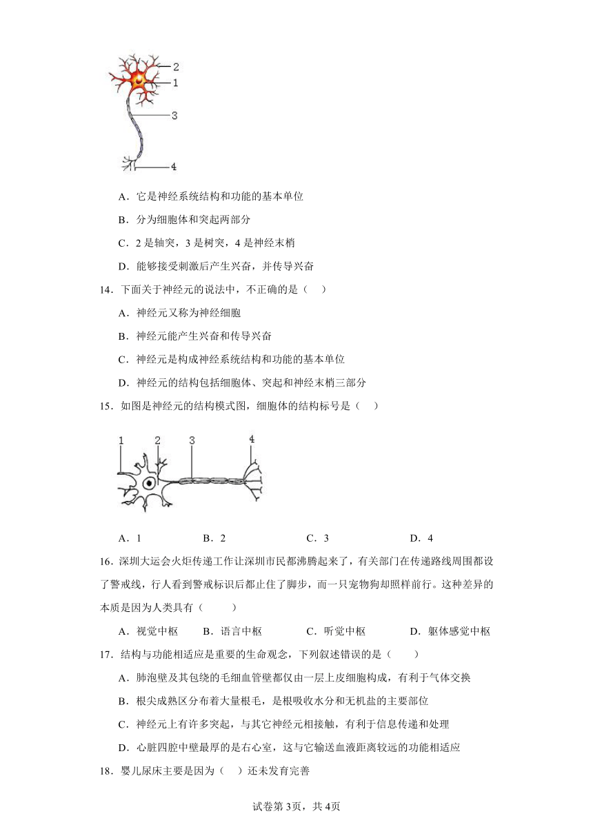 冀少版初中生物七年级下册2.4.2信息的传递同步练习（含答案）