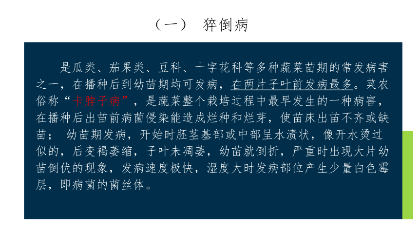 2.4.2穴盘苗常见侵染性病害诊断与防治 课件(共43张PPT)-《蔬菜生产技术》同步教学（中国农业出版社）