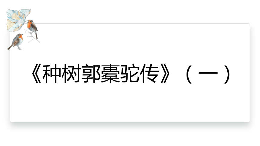 11.《种树郭橐驼传》 课件(共23张PPT)  2023-2024学年高一语文统编版选择性必修下册