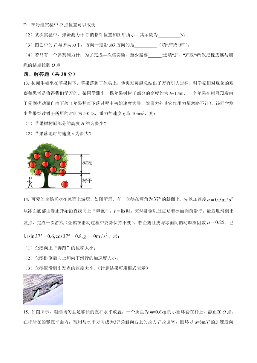 黑龙江省大庆市大庆名校2023-2024学年高一下学期开学考试 物理（解析版）