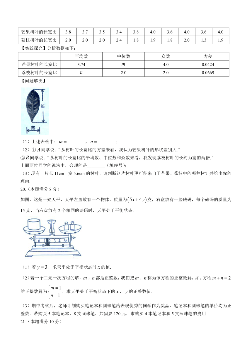 山东省枣庄市薛城区2023-2024学年八年级上学期学业综合素养诊断数学试题（含答案）