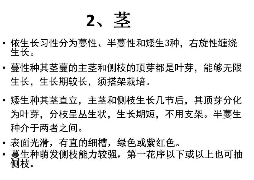 项目4.2 豆类蔬菜生产--豇豆 课件(共41张PPT)- 《蔬菜生产技术》同步教学（机械工业版）