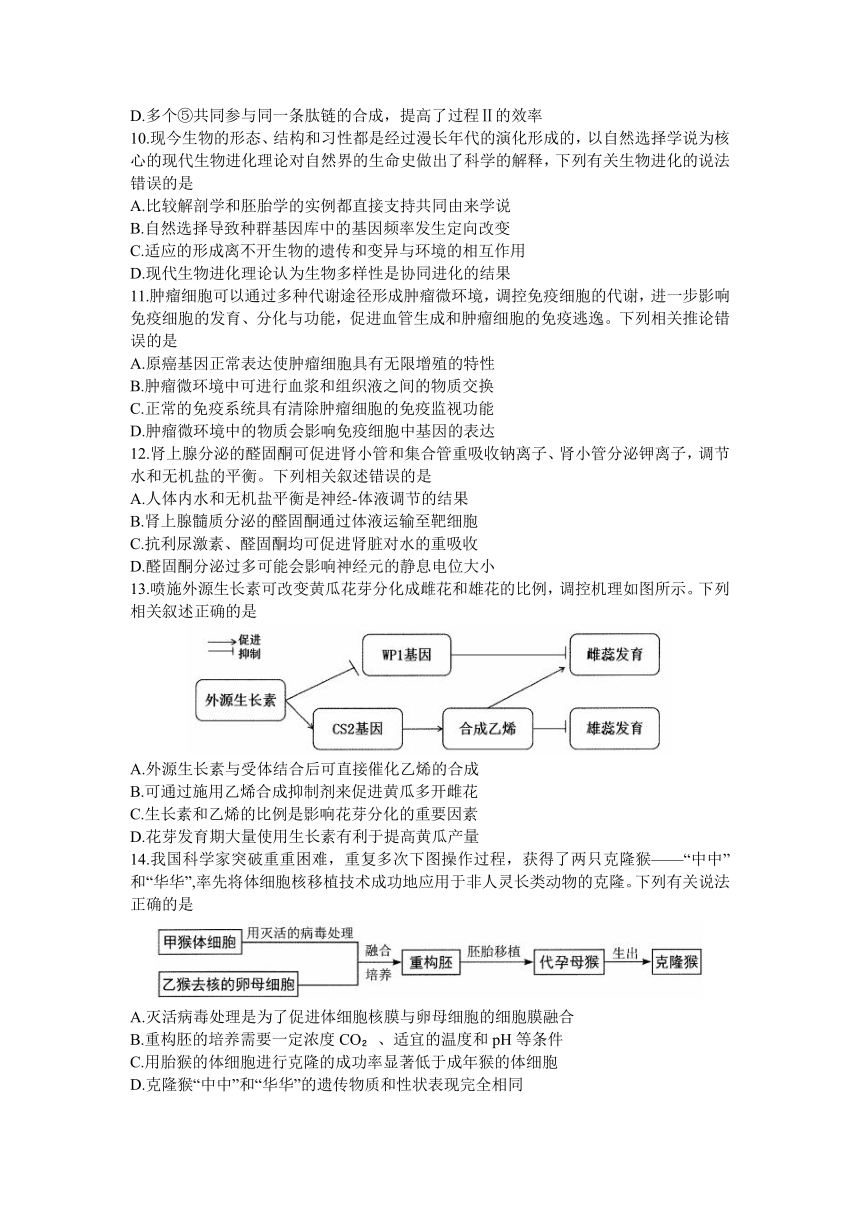 2024届安徽省合肥市高三下学期第一次教学质量检测（一模）生物学试题（含答案）