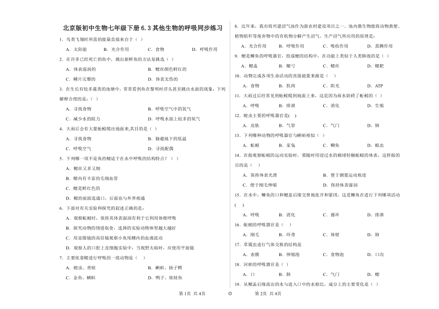 6.3其他生物的呼吸同步练习（含答案）北京版初中生物七年级下册