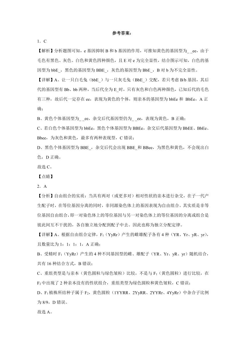 1.3自由组合定律 练习-2023-2024学年高一下学期生物苏教版（2019）必修2（含解析）