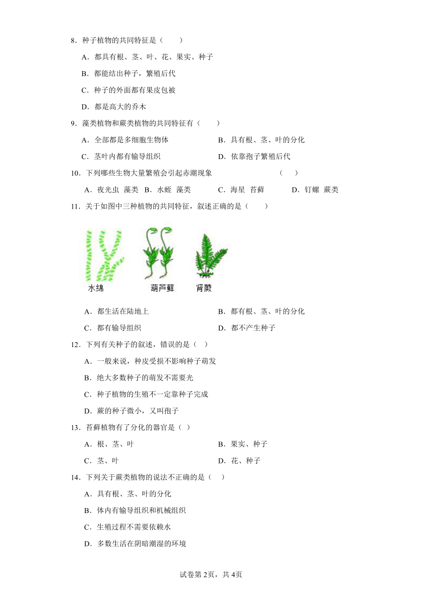7.22.3植物的主要类群同步练习（含答案）北师大版初中生物八年级下册