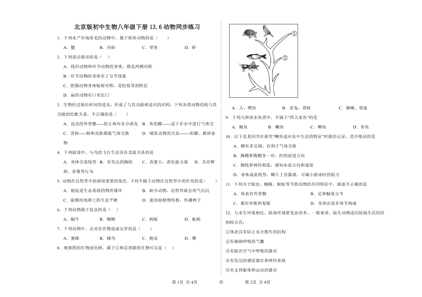 北京版初中生物八年级下册13.6动物同步练习（含答案）