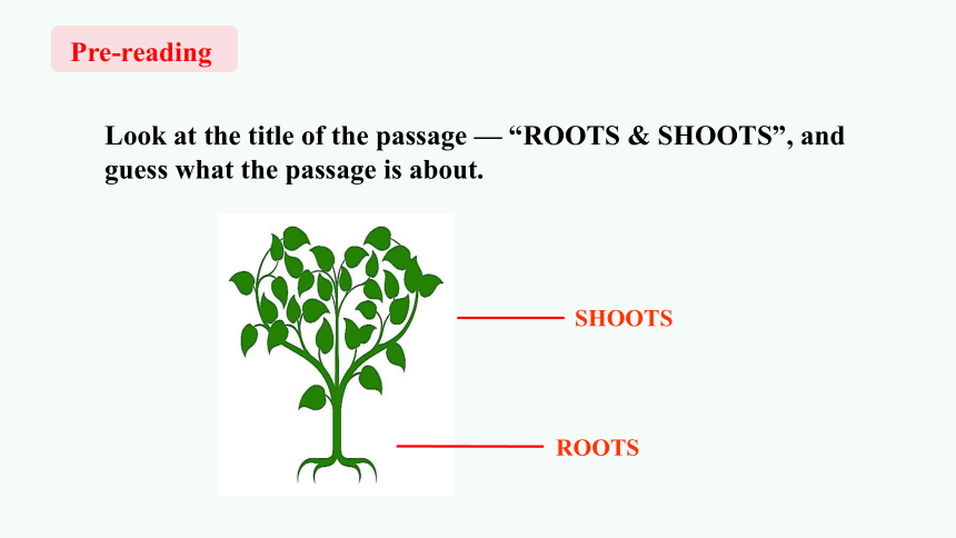 北师大版（2019）必修 第三册Unit 8 Green living Lesson 1 Roots and Shoots Reading 课件(共23张PPT)