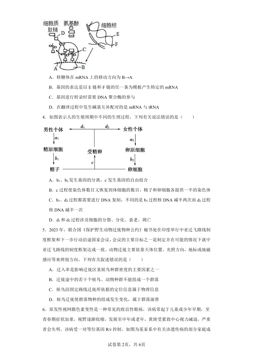 2024届陕西省汉中市汉台区高三下学期教学质量检测（一模）理综生物试题（含解析）