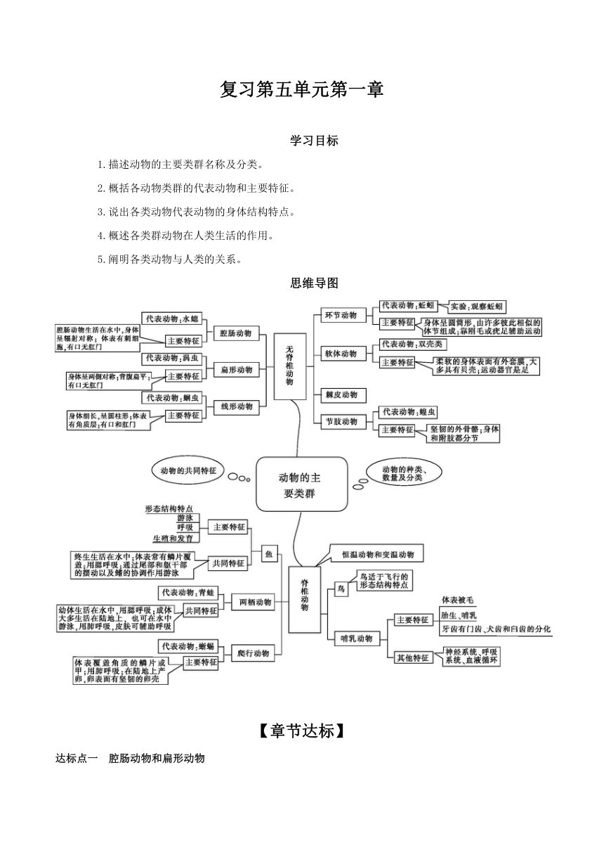 5.1 动物的主要类群 学案 （含答案）生物人教版八年级上册