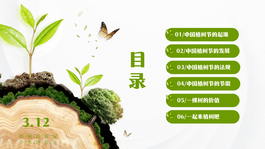 【植一棵树，美化家园】“植”此青绿，拥抱春天-2024年3月12日植树节主题班会（初中通用版）